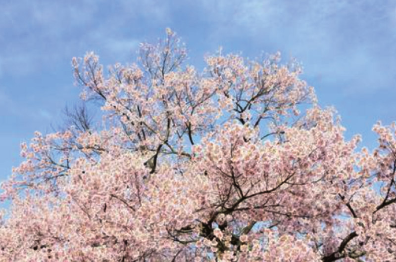 外壁塗装に適した季節っていつですか？